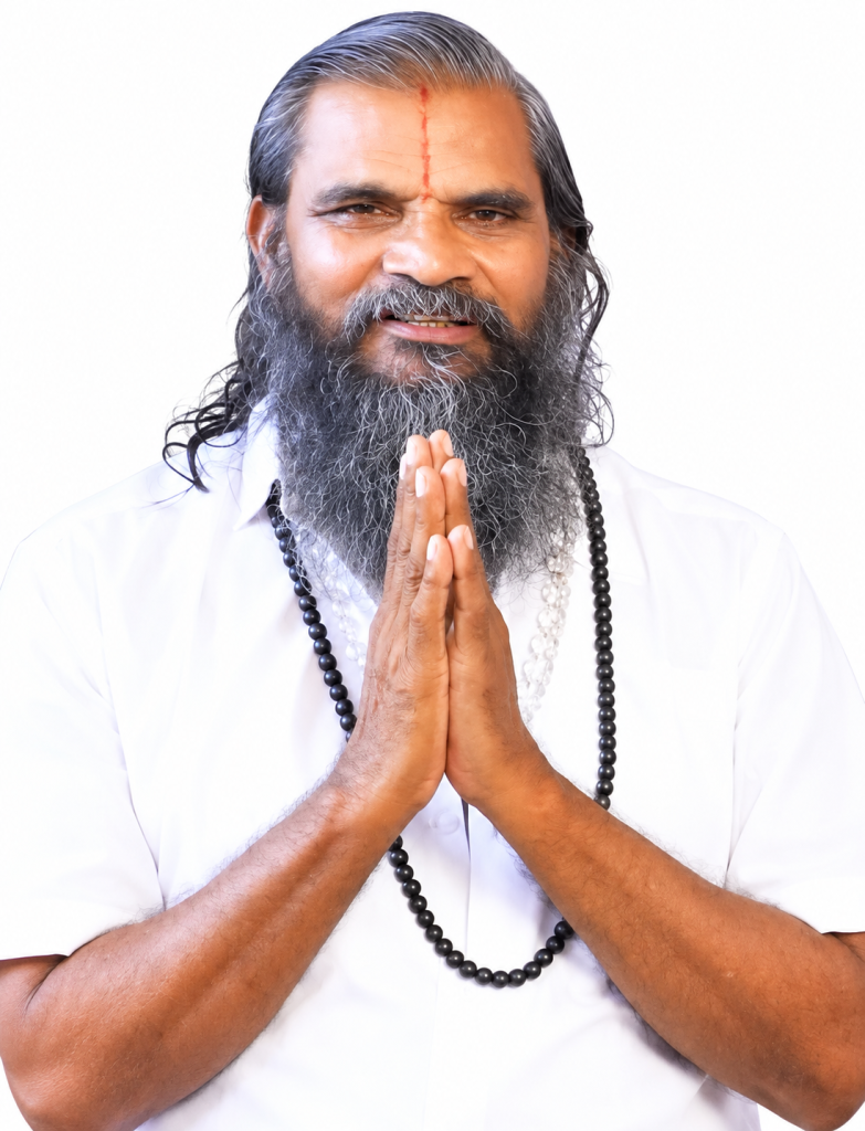 N. Perumal