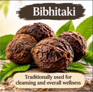 Bibhitaki